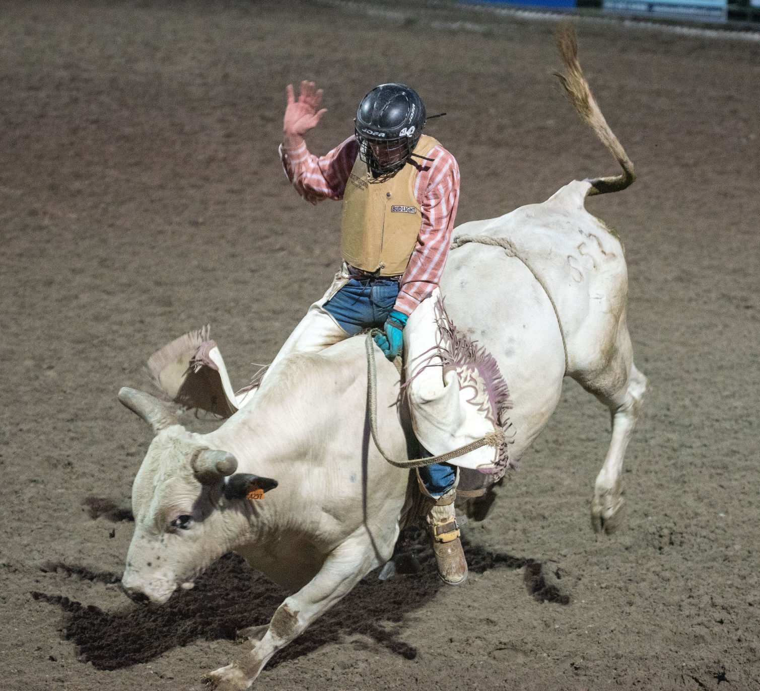 Learning the Ropes (Rodeo, Book 3)